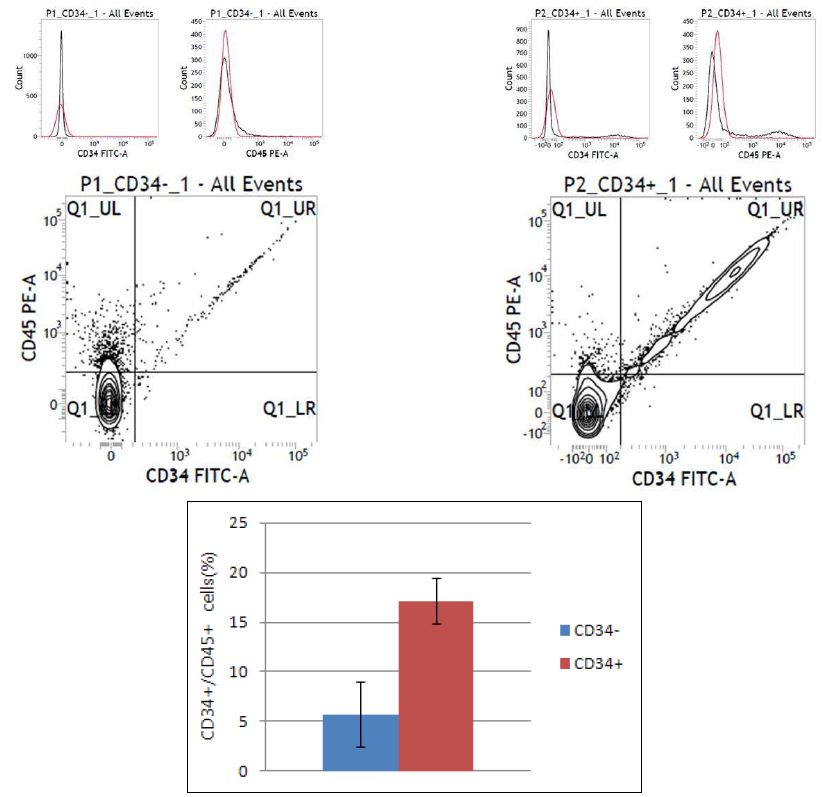 그림. 최적화된 #1 protocol에 의한 분화유도 및 CD34+ population에 대한 MACS sorting 후 hematopoietic progenitor population(CD34+/CD45+) FACS 분석