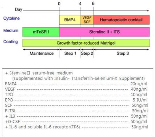 그림. 배아줄기세포의 조혈줄기세포 분화법(#2 protocol) 모식도(Niwa 등, 2011 PLoS One)