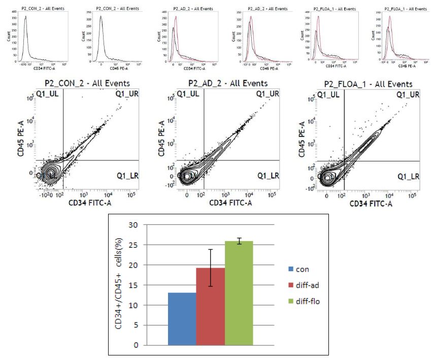 그림. 미분화(con) 및 #2 protocol에 의한 분화유도 후 부착세포(diff-ad) 및 부유세포(diff-flo)에서 hematopoietic progenitor population(CD34+/CD45+) FACS 분석