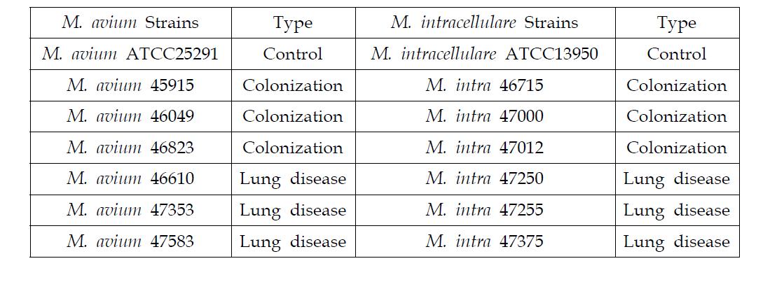 큰포식세포 감염 모델에 사용된 MAC complex 균주 목록