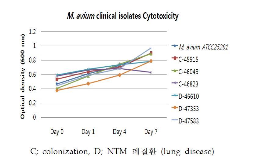 사람 큰포식세포에 감염된 M. avium spp. 균주의 세포독성 비교