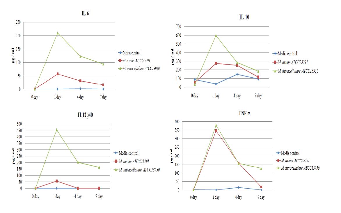 M. avium ATCC25291 및 M. intracellulare ATCC13950 표준균주에 감염된 큰포식세포의 시토카인 발현 비교