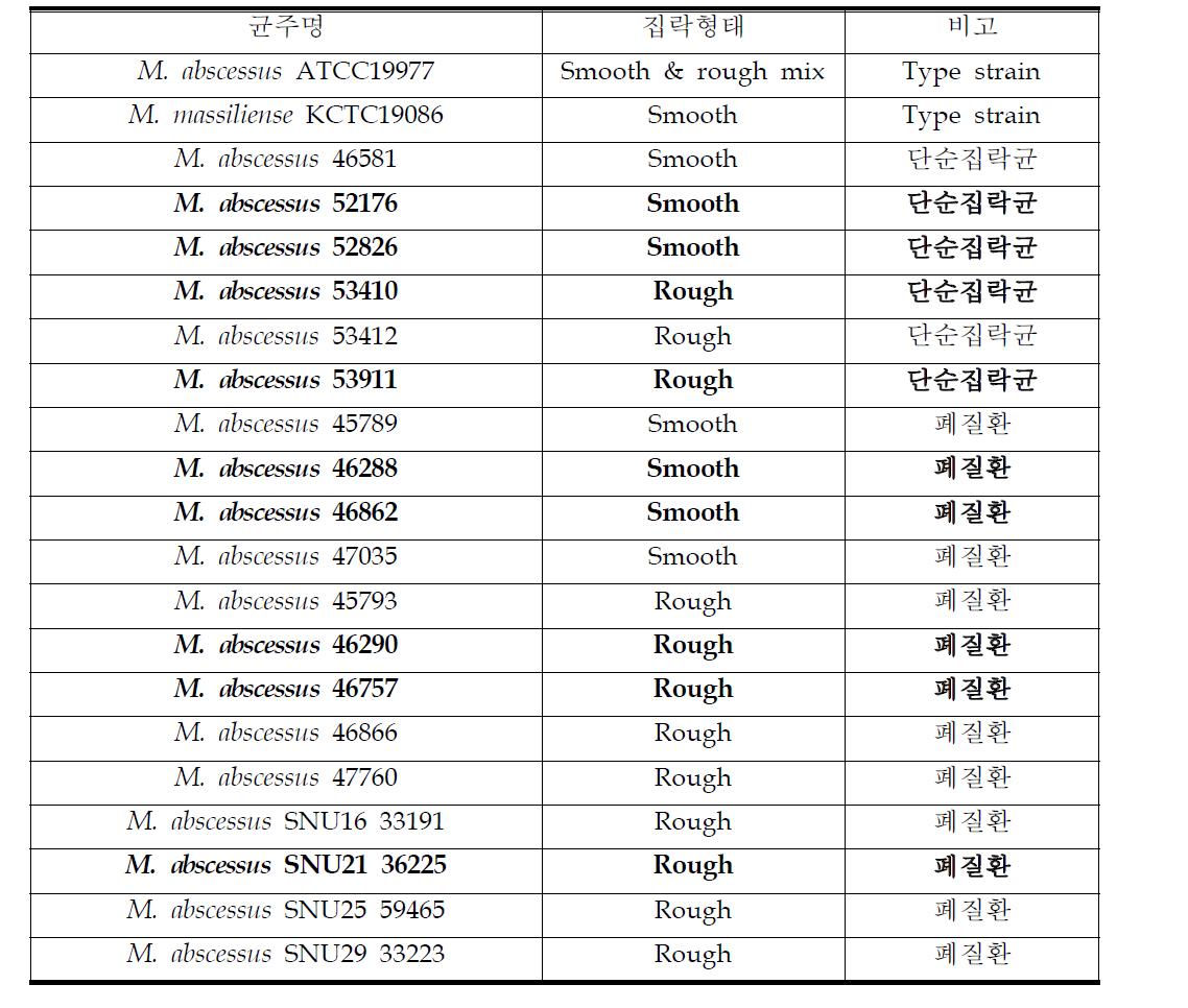 M. abscessus 세포 감염모델적용 후보 균주 목록