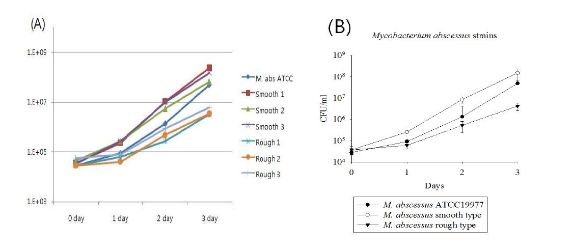 M. abscessus 표준균주 (M. abs ATCC) 및 임상균주의 HMDM 감염시 세포내 생존율 (ICS) 비교.