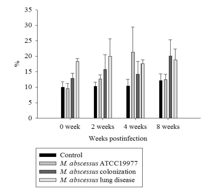 M. abscessus strains 감염에 의한 마우스 폐조직 염증분포 비교