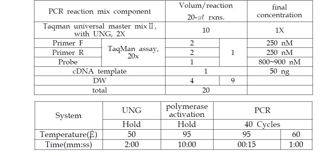 RT-PCR 샘플 조성 및 PCR 조건