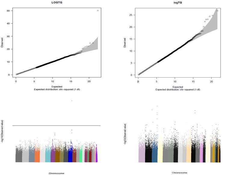 그림 5 TG 의 GWAS 결과