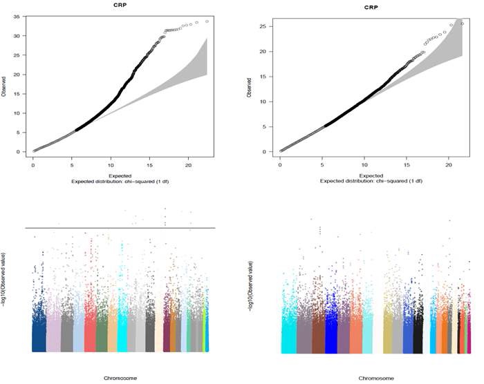 그림 6 CRP 의 GWAS 결과