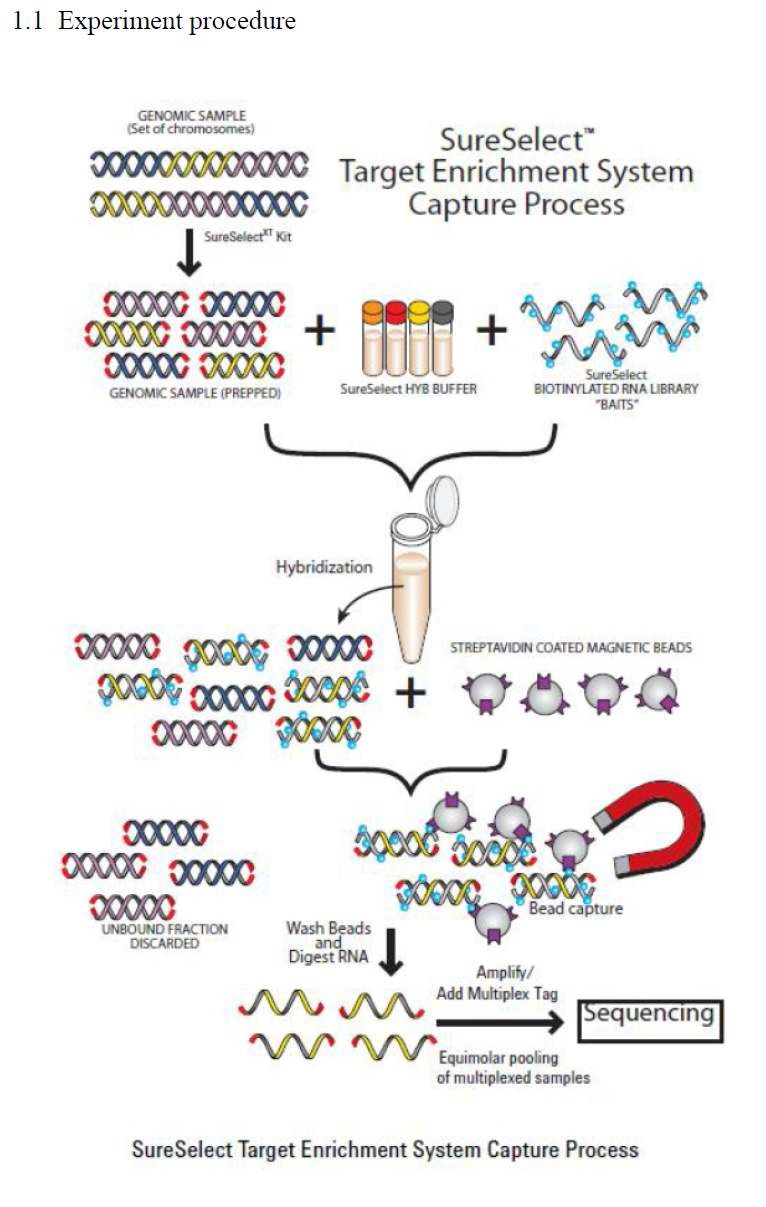 그림 10 SureSelect Target Enrichment System Capture Process