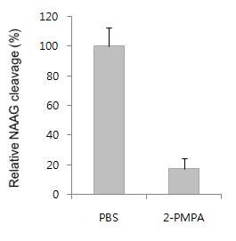 그림 4. 2-PMPA를 투여한 치매모델마우스에서의 NAAG 분해능 변화