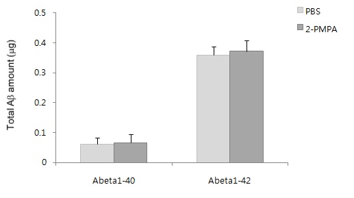 그림 5. 2-PMPA를 투여한 치매모델마우스에서의 아밀로이드베타 분해능 변화