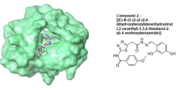 그림 14. Compound 2의 구조 및 GCPII의 결합 모델