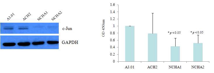 Figure 3. The expression of CD4, P56Lck, ZAP-70, and LAT in latently HIV infected cells