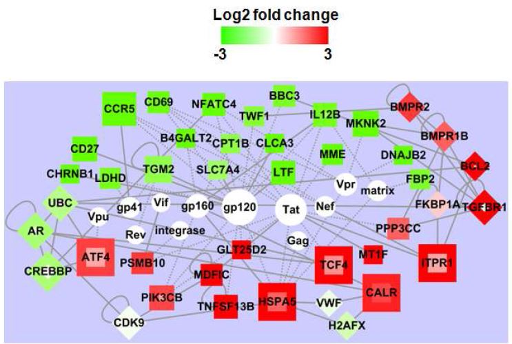 Figure 12. The network analysis of common differentially expressed genes in HIV-1 latently infected cells