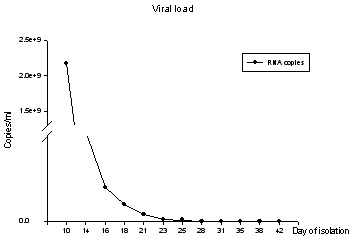 Figure 24. The viral load in the primary HIV-1 infected cells.
