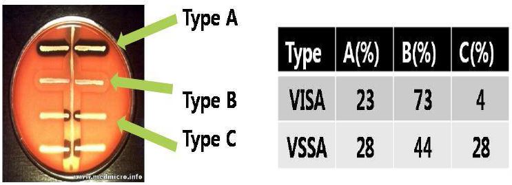 그림 6. VSSA 균과 VISA균의 hemolysin 활성 측정 결과