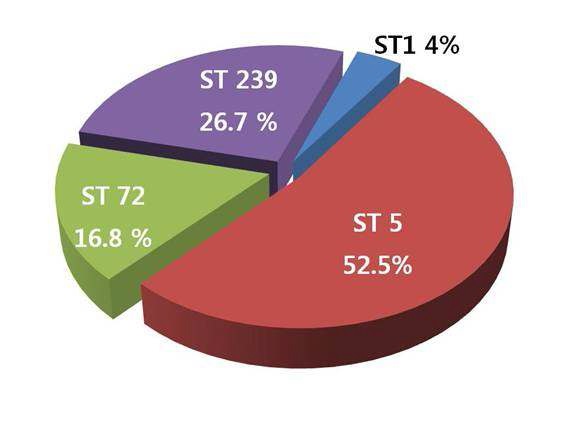 그림 12. 국내 임상에서 분리된 VISA균의 MLST type 분포 현황