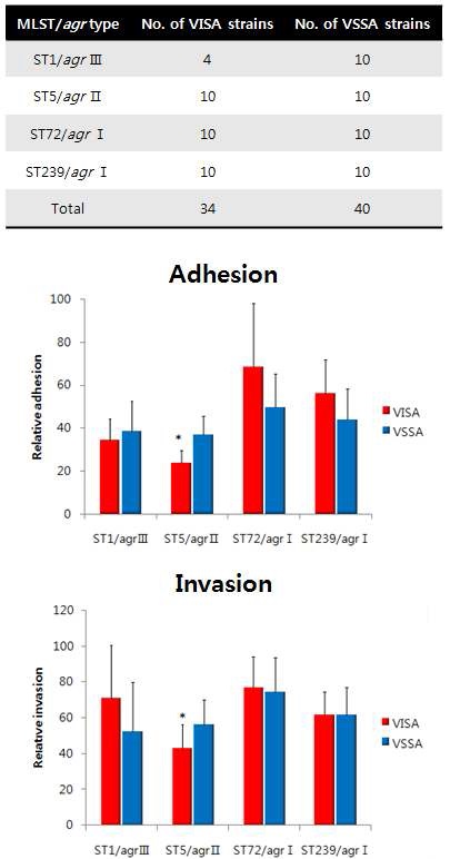 그림 30. adhesion과 invasion에 사용된 균주와 VISA균의 주요 clone인 ST1/agrIII, ST5/agrII, ST72/agrI, ST239/agrI group간 epithelial cell에 대한 adhesion, invasion 측정결과