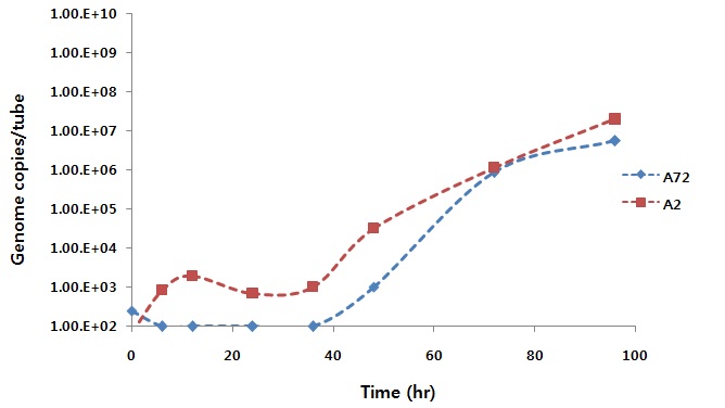 Figure 44. Grouwth kinetics of RSV A2 and A72