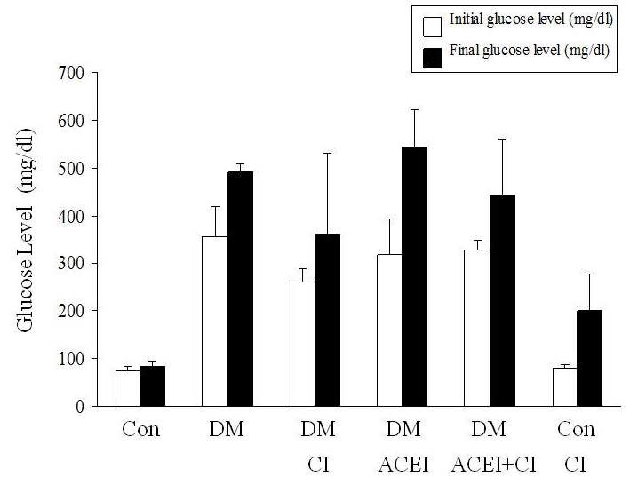 그림 7. 당뇨병성 햄스터 모델의 혈당치