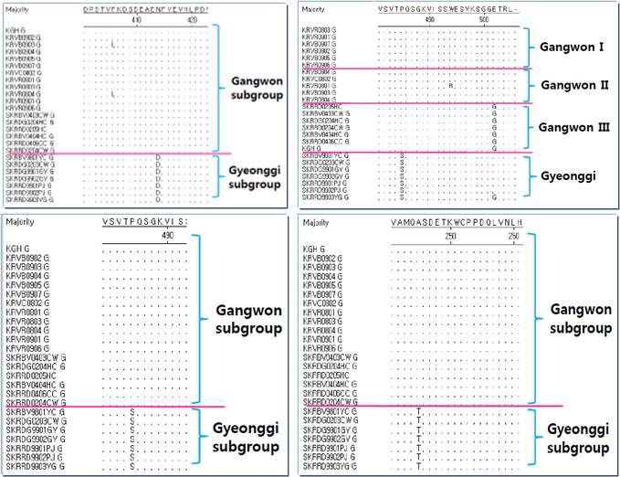 그림 6. 국내 동물 분리주와 G 유전자를 비교하여 subgroup간의 차이 비교.