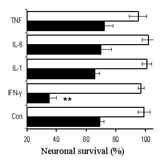 (Fig. 1-3. Viability of Neuronal Cells with Cytokine Pretreatment with Amyloidβ)