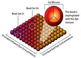Fig. 3-7. microparticle의 다양한 색