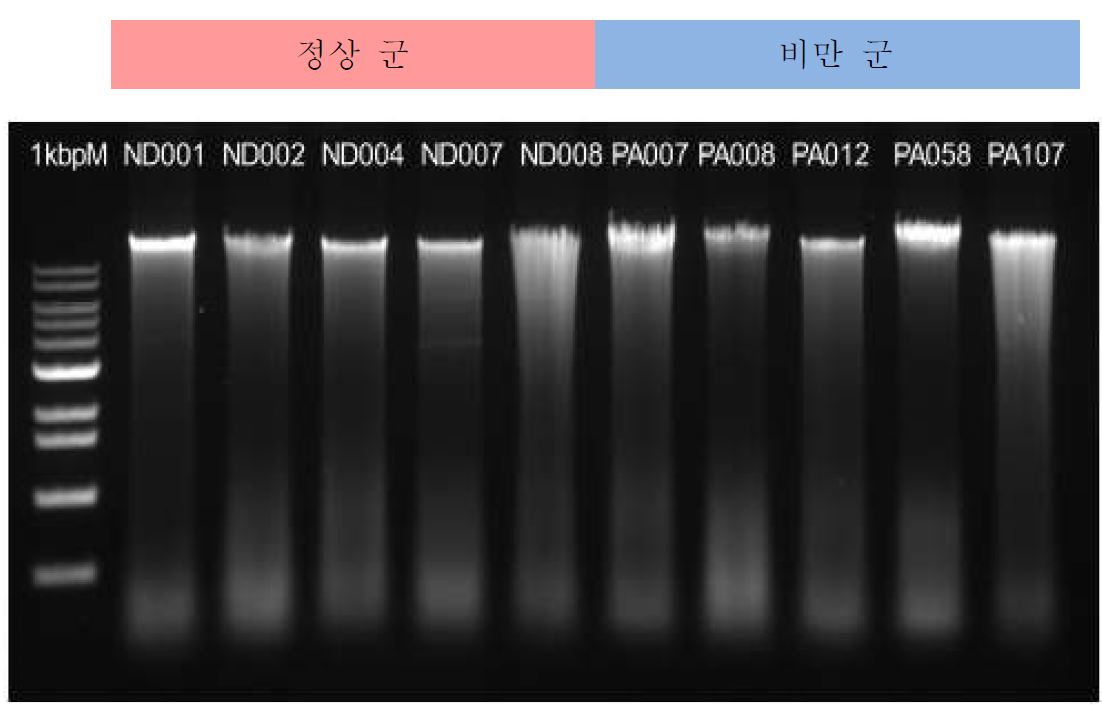 그림 4. DNA quality 확인