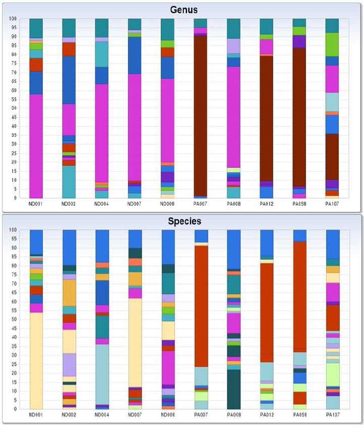 그림 8. Genus & Species distribution of bacterial communites