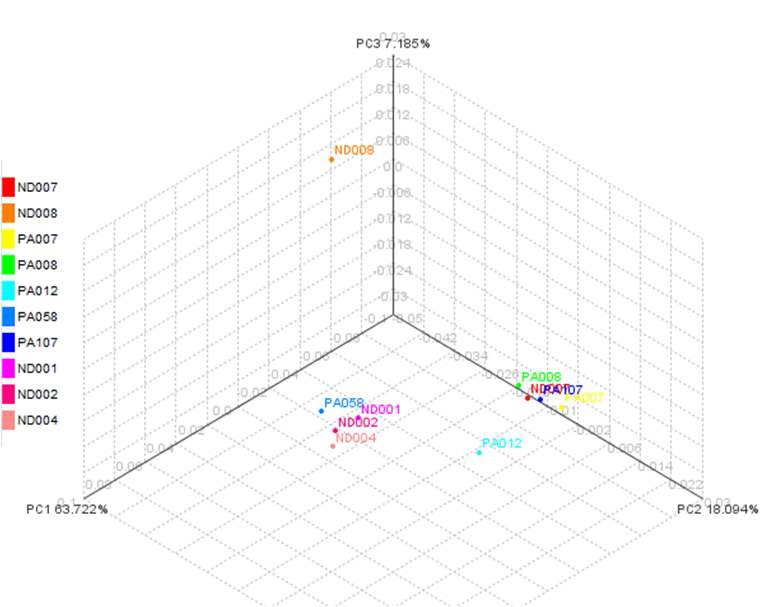 그림 9. Three dimensional projection based on principal coordinate analysis (PCO)