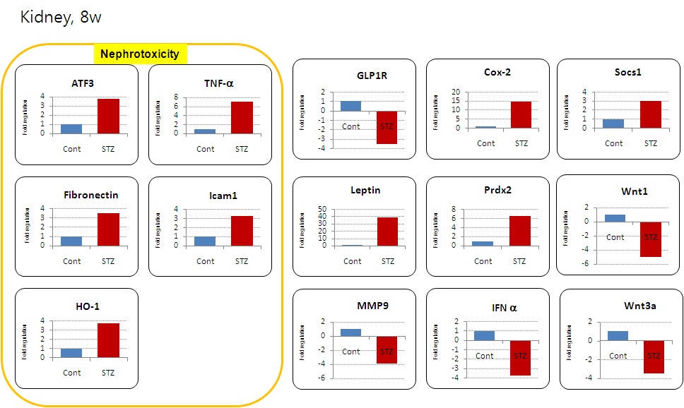 plot (Kidney, 8w)>