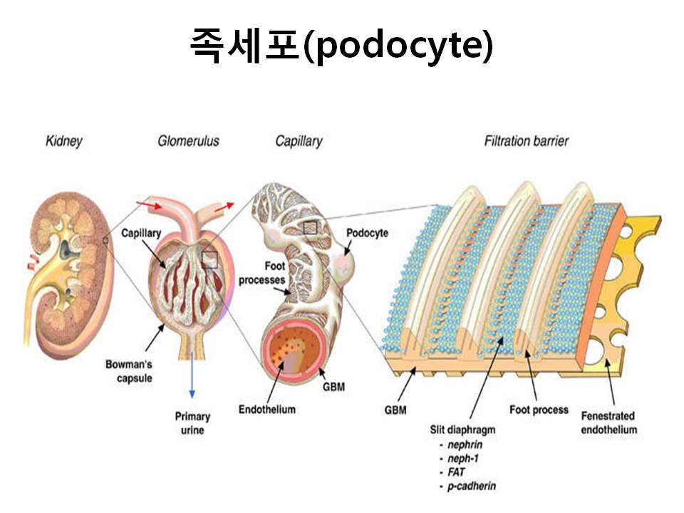 기타