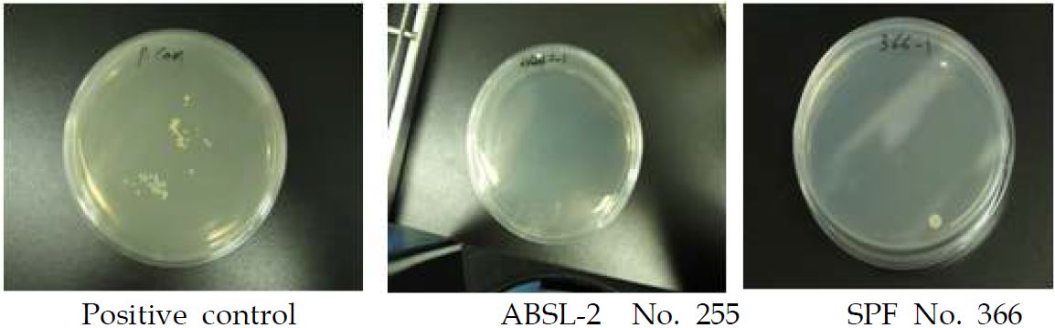 Fig. 2. Results of settle plates test