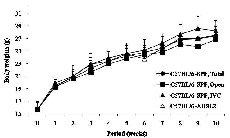 Fig. 8. Changes of body weights in male C57BL/6 mice at SPF and ABSL2 area