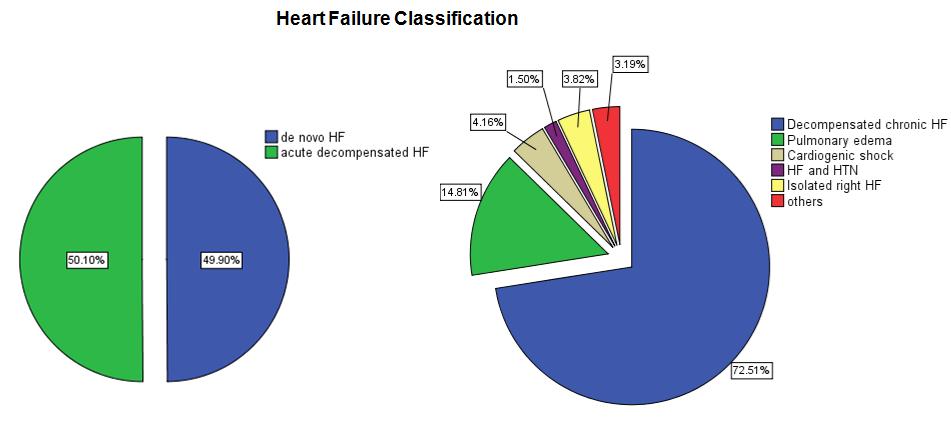 심부전의 분류에 따른 현황