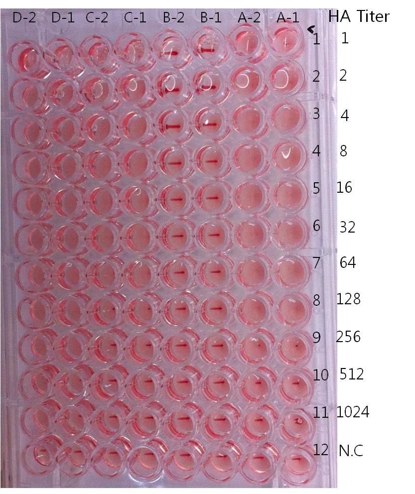 Result of HA titer for each virus clone derived from Balb/c