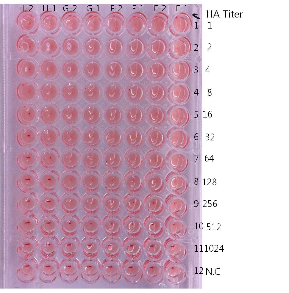 Result of HA titer for each virus clone derived from Balb/c