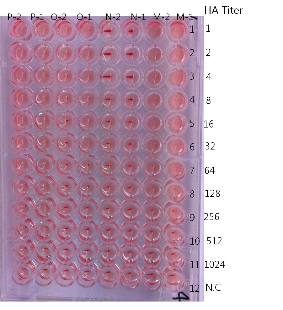 Result of HA titer for each virus clone derived from DBA/1J