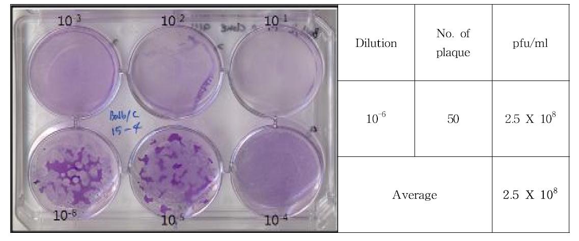 Result of plaque assay for Balb/c 15-4 clone