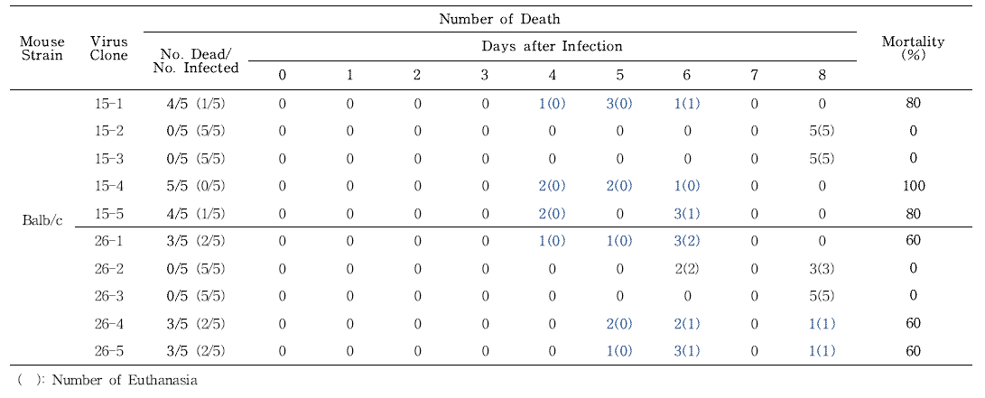 Screening of H1N1 influenza virus mutant strain with Balb/c mouse pathogenicity from each virus clone isolated by plaque purification