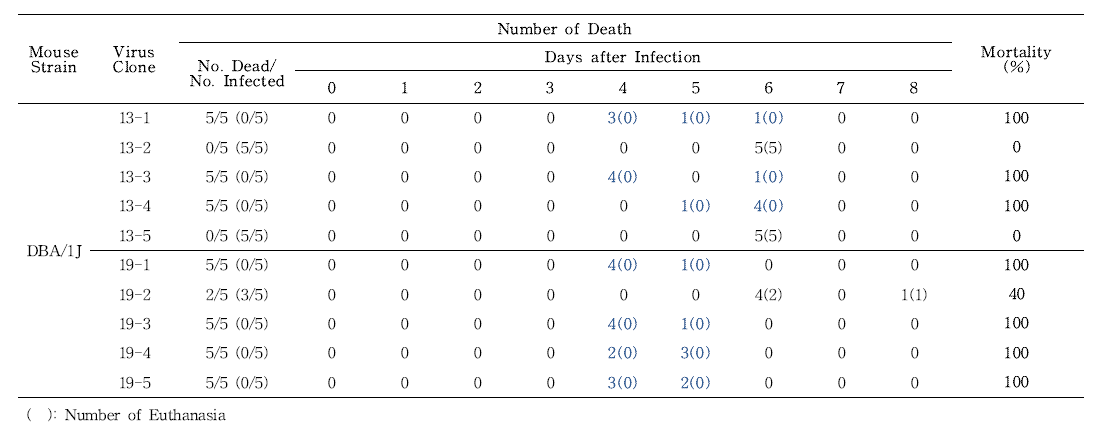 Screening of H1N1 influenza virus mutant strain with DBA/1J mouse pathogenicity from each virus clone isolated by plaque purification