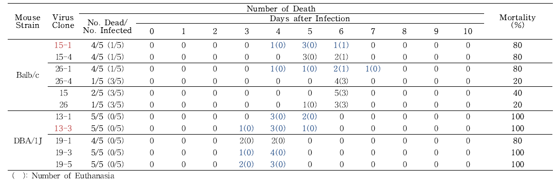 Determination of H1N1 influenza virus mutant strain with Balb/c and DBA/1J mouse pathogenicity against virus clone selected from above screening test