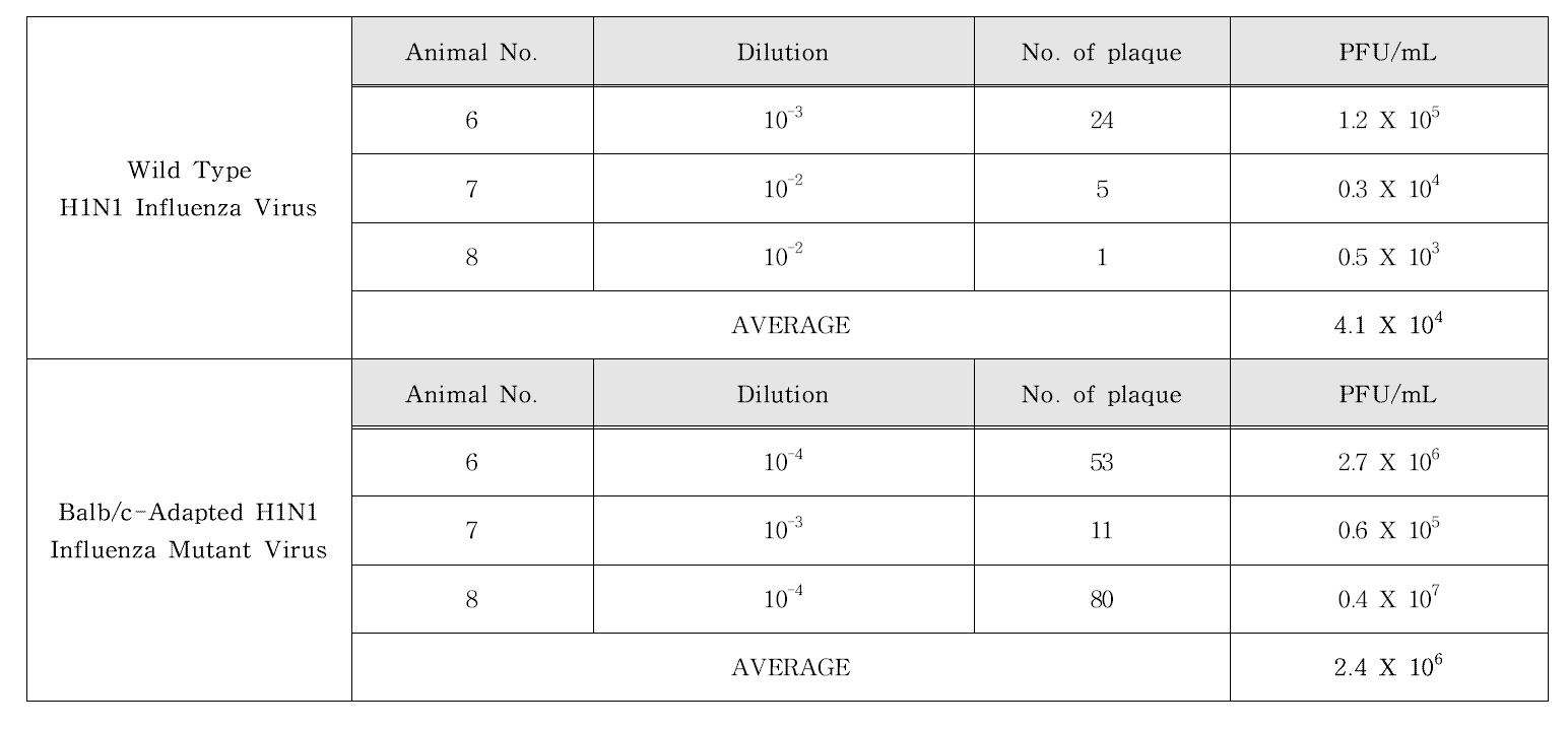 Detection of influenza virus in lung of Balb/c mice infected with wild- and mutant-influenza virus on day 4