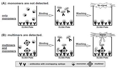 그림 5. Multimer Detection System(MSD)의 원리