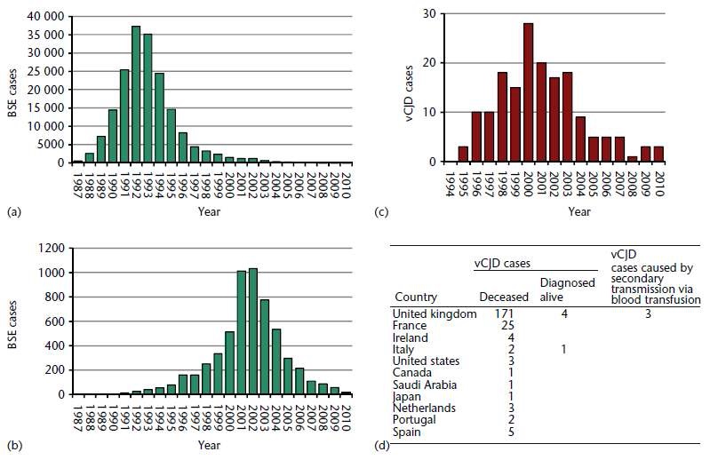 그림 1. BSE and vCJD cases
