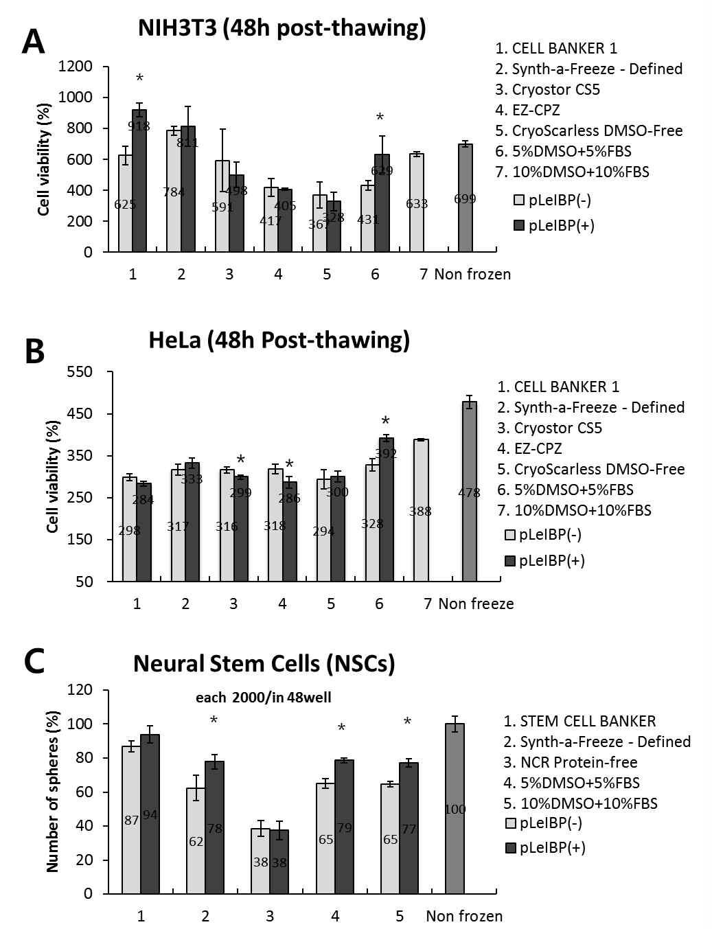 기존 동결보존제와 결빙방지단백질 첨가 후 세포 생존능력 비교. A.NIH/3T3(섬유아세포) B.HeLa(암세포) C.NSCs(신경줄기세포).