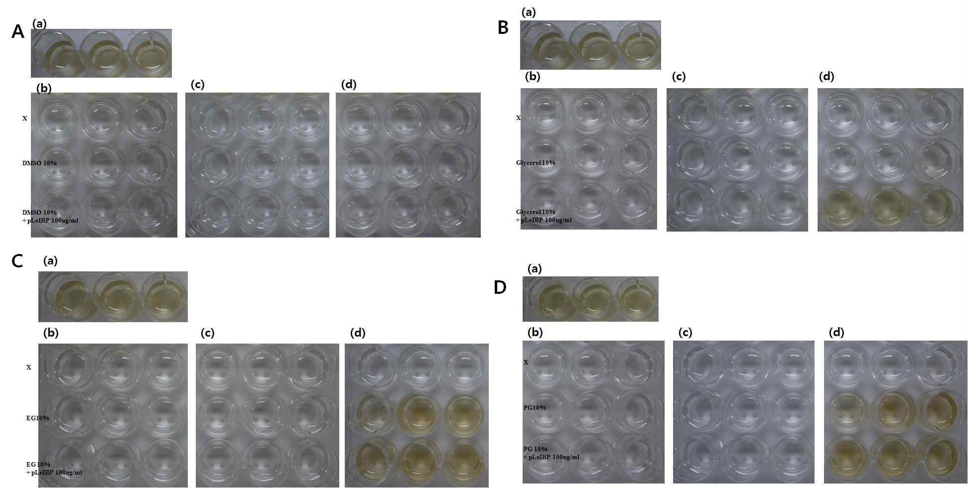 결빙방지단백질을 이용한 Diatom 생존 능력 plate 관찰.