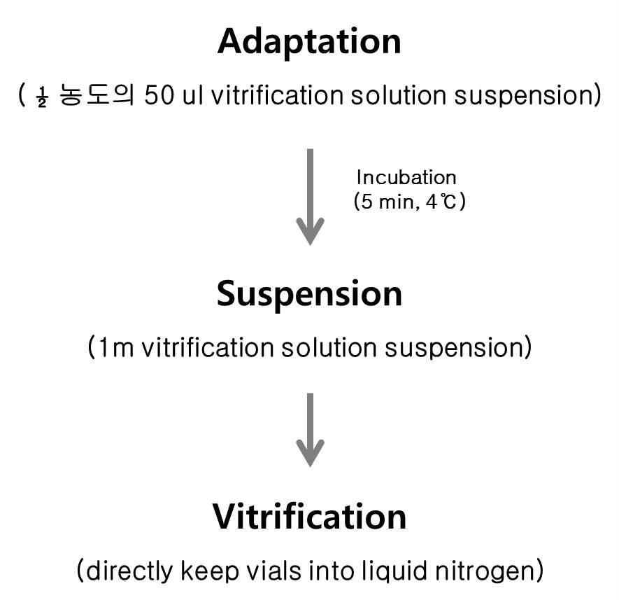 급속 동결 (Vitrification) 과정 scheme.