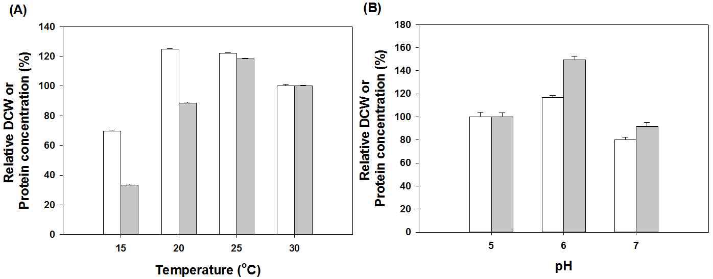 LeIBP 대량생산의 최적 조건 탐색을 위한 (A)온도 및 (B)pH 조건에 따른 발현된 세포양 (흰색 막대그래프) 및 단백질양 (회색 막대그래프) 비교 그래프.