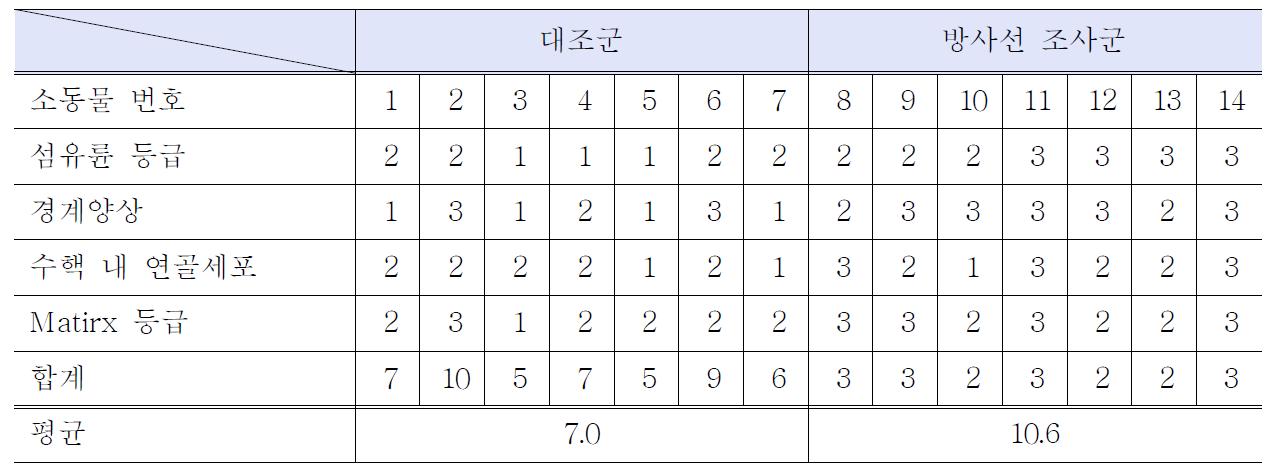 실험 동물의 추간판 변성 등급 점수